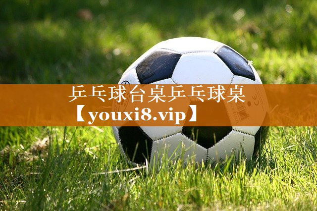 乒乓球台桌乒乓球桌