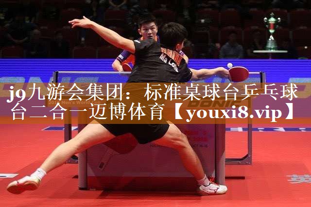 j9九游会集团：标准桌球台乒乓球台二合一迈博体育