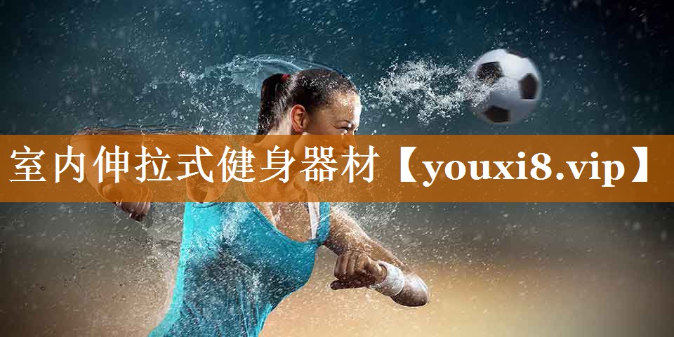 室内伸拉式健身器材
