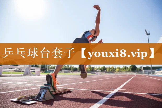乒乓球台套子 乒乓球台套子