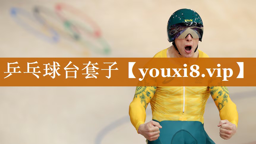 乒乓球台套子 乒乓球台套子
